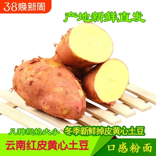 云南土豆新鲜【全网爆款】现挖黄心新鲜合作88号