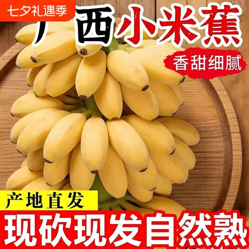 广西小米蕉当季新鲜孕妇水果