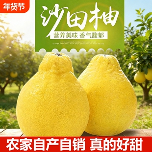 广东梅州沙田柚柚子纯甜正宗金柚白心肉当季孕妇新鲜水果精品包邮