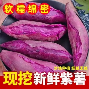 新鲜紫薯软糯香甜农家自种沙地番薯地瓜板栗蜜薯山芋紫心红薯香薯