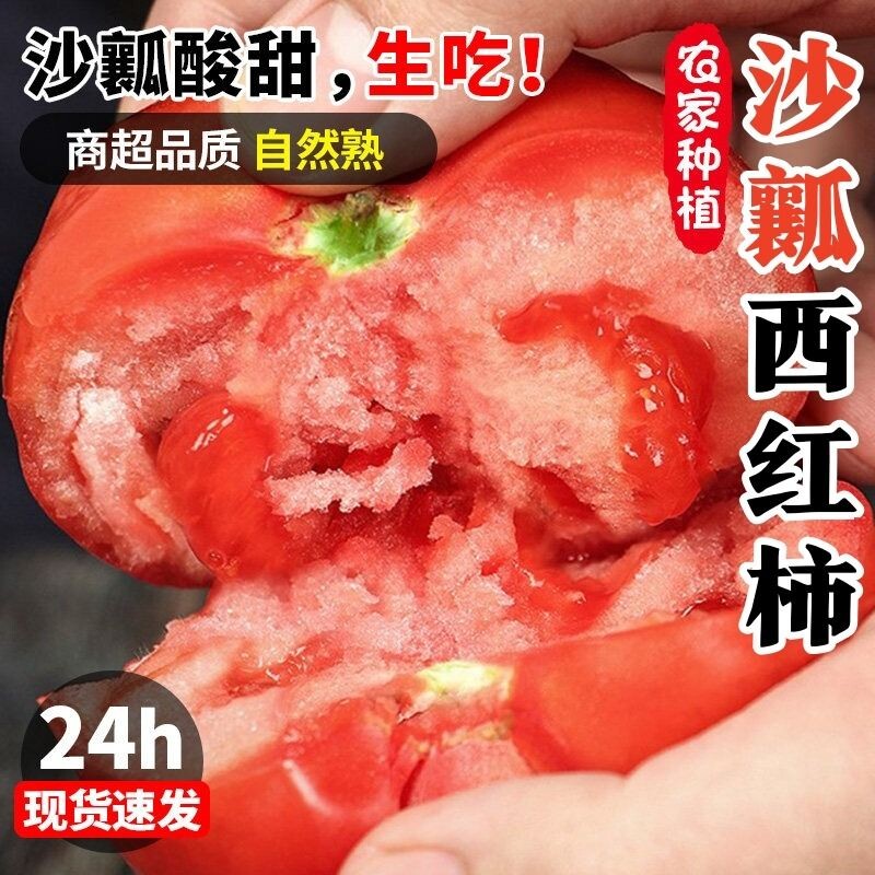 西红柿新鲜自然熟沙瓤爆汁生吃农家自种洋柿子现摘酸甜老品种番茄