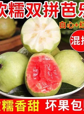 软糯软心芭乐双拼番石榴红心白心现摘现发新鲜当季水果鸡屎果