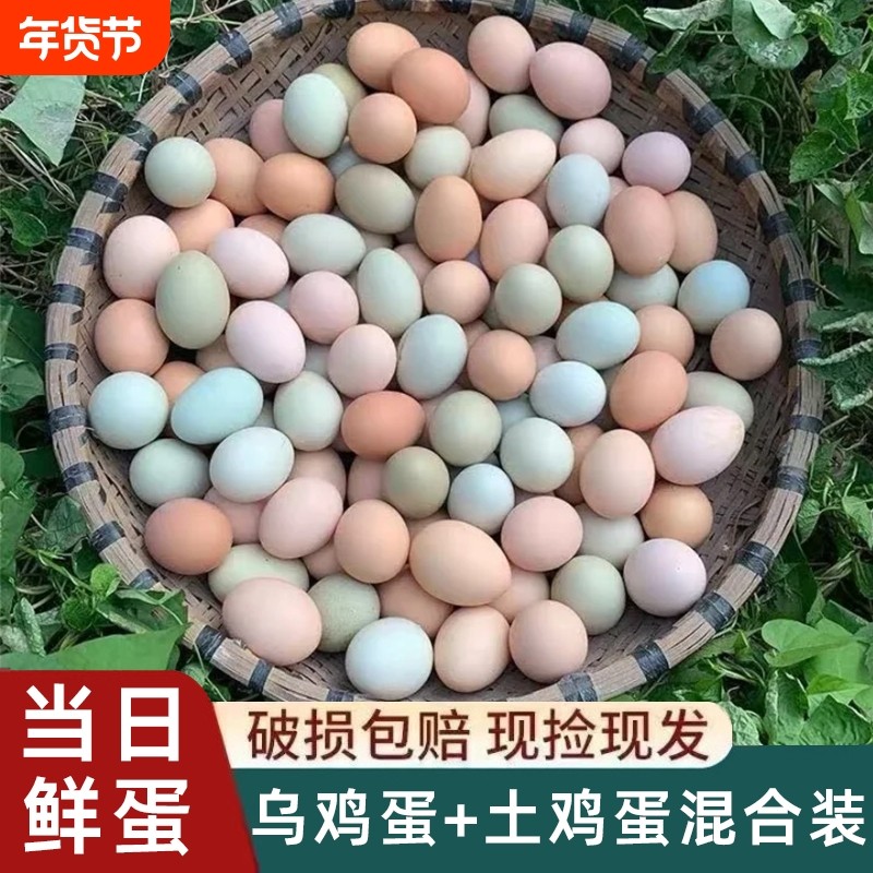 农家散养混合鸡蛋新鲜乌鸡蛋草鸡蛋柴鸡蛋笨鸡蛋谷物鸡蛋,水产肉类/新鲜蔬果/熟食,鸡蛋,淘宝优惠券,粉丝福利购,淘宝优惠卷