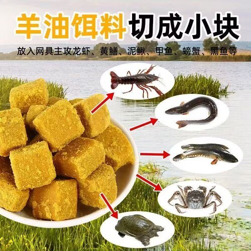 羊油神捕饵料抓龙虾河虾杂鱼黄鳝泥鳅小饼子诱饵方块专用诱饵