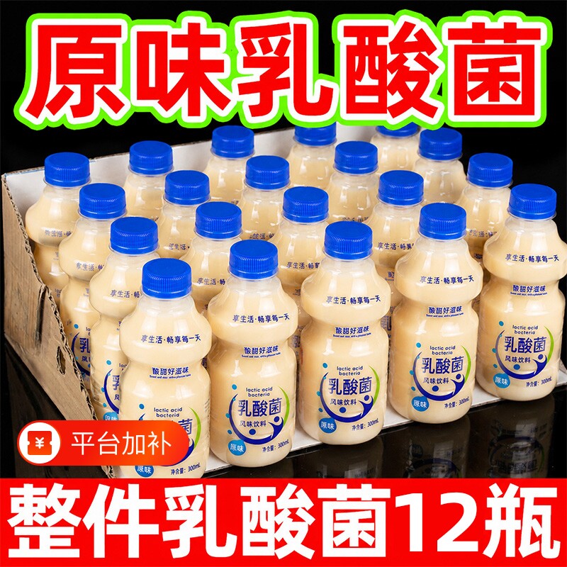原味乳酸菌含乳饮品300ml瓶装整箱0脂儿童早餐牛奶饮料学生营养