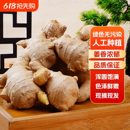 山东大姜生姜老姜10斤风干黄姜月子姜风干姜块新鲜食用蔬菜母