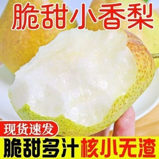 脆甜多汁红香酥梨子新鲜水果当季香酥梨薄皮香梨梨一整箱现摘果园