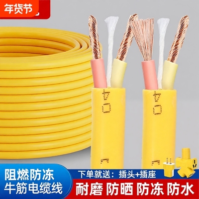 牛筋电缆线2芯防水防冻