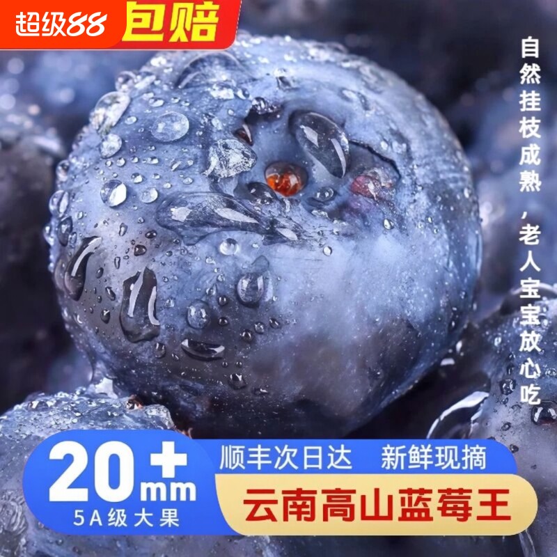 云南蓝莓新鲜水果鲜果当季特大果现摘L25花香高山孕妇怡颗整箱