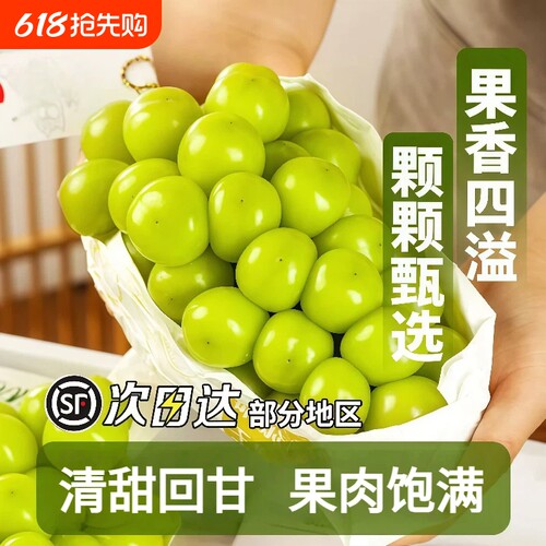 阳光玫瑰葡萄5斤晴王香印青提脆甜无籽大果当季水果现摘顺丰包邮