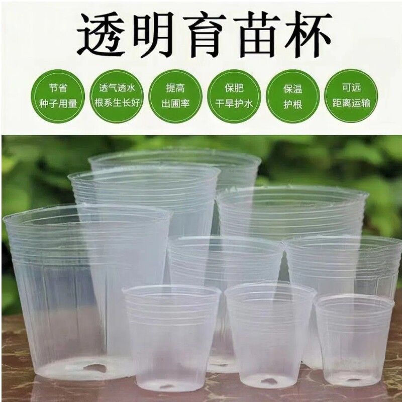 蝴蝶兰专用种植透明育苗杯育苗钵营养钵兰花石斛兰盆营养杯透明