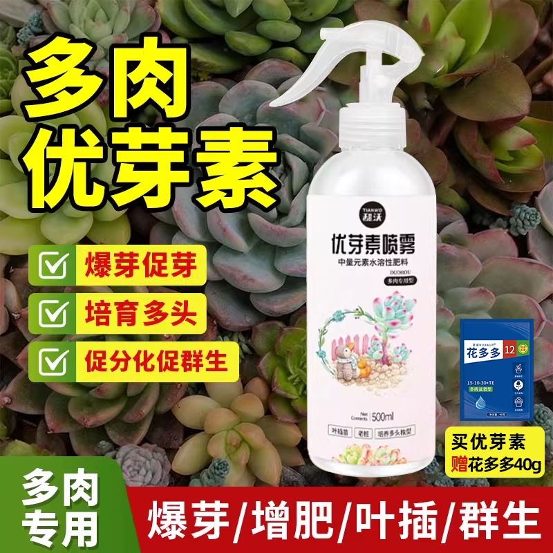 优芽素多肉专用爆芽素