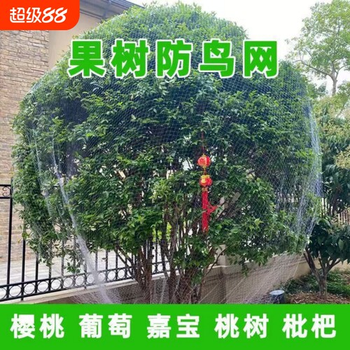 防鸟网果树防鸟罩嘉宝果防小鸟专用尼龙网围网果园天网防护网阳台