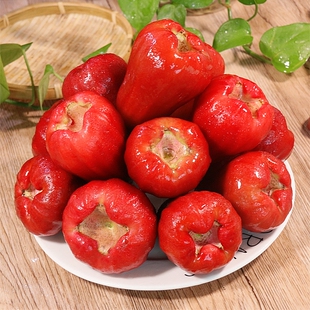 海南三亚莲雾5斤装新鲜