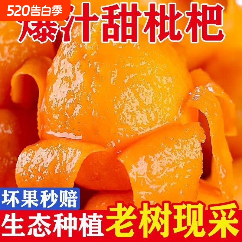正宗四川大五星枇杷新鲜当季水果现摘攀枝花米易香甜枇杷鲜果包邮