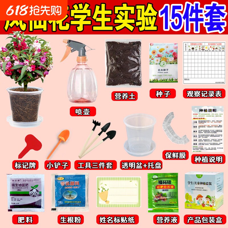 凤仙花种子小学生科学实验种植套装儿童小盆栽四年级植物花生水果