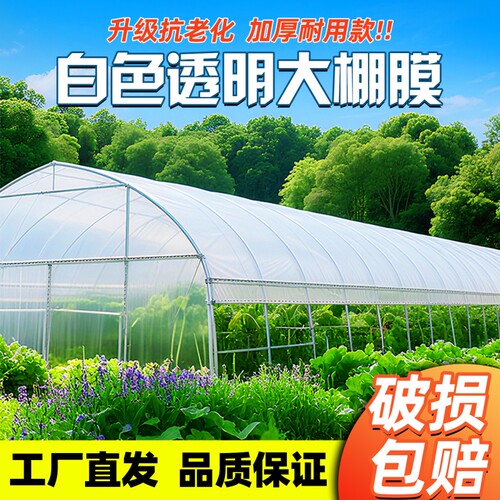 大棚膜加厚透明塑料布蔬菜大棚专用薄膜农用保温白色无滴膜种植