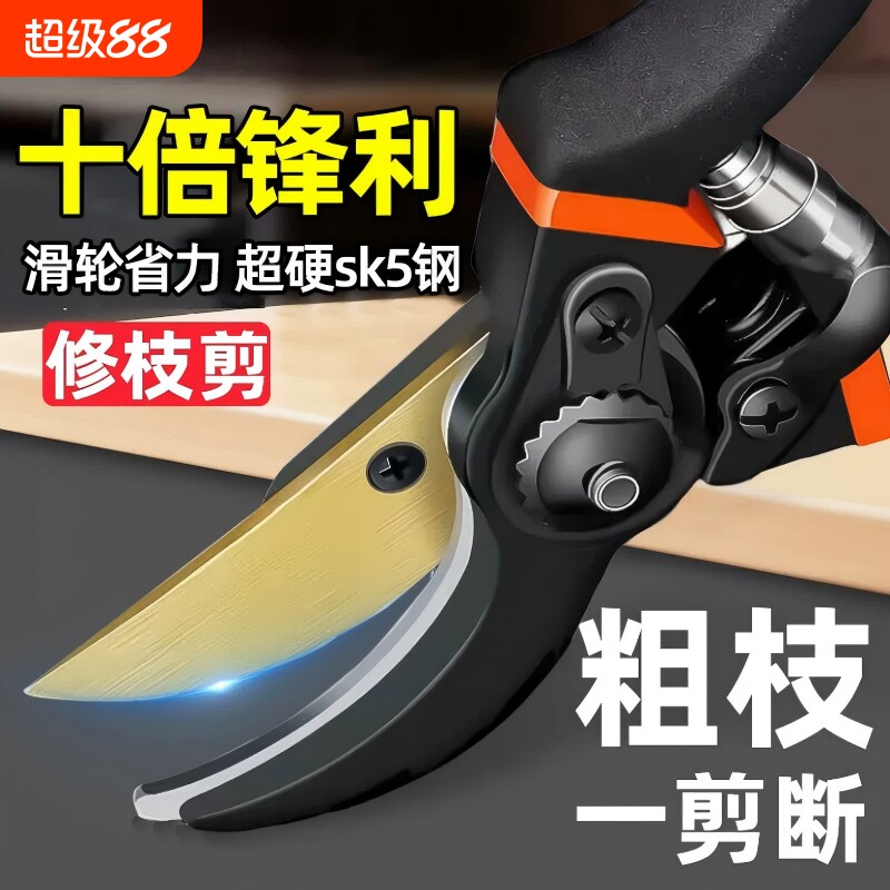畅销爆款|修剪树枝专用园艺剪刀图片