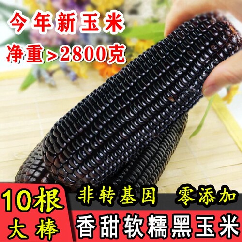 东北黑糯玉米真空锁鲜富含花青素