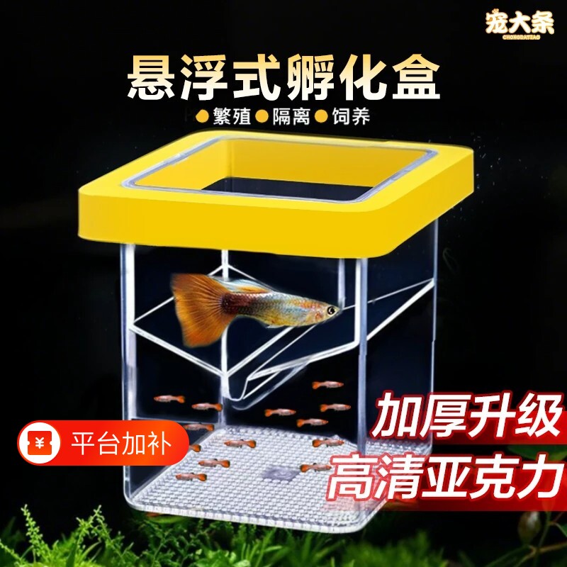 鱼缸繁殖隔离器悬浮式母鱼孵化器孔雀鱼繁殖盒方形漂浮幼鱼固定