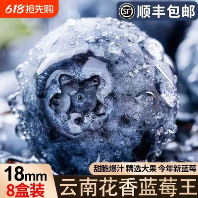 云南蓝莓高山L25花香新鲜水果现摘现发应季孕妇辅食整箱包邮大果
