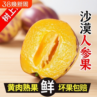 人参果甘肃民勤新鲜水果【太便宜】老人孕妇低糖产地直发包邮长寿