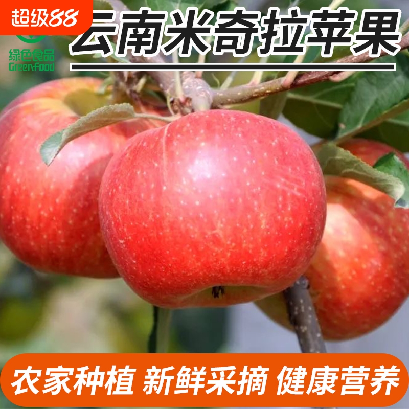 【绿色食品】云南昭通粉面小苹果米奇拉现摘现发应季水果嘎啦苹果