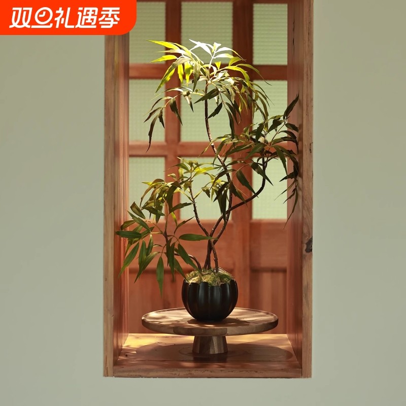 森空间仿真十大功劳新中式盆栽