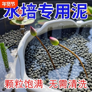 碗莲水草泥高肥力不臭水不浑水铜钱草睡莲水培植物营养泥水养