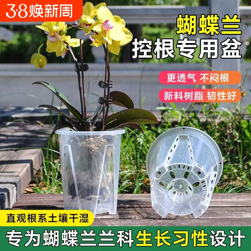 透明控根盆青山盆蝴蝶兰花盆专用兰水苔塑料透气镂空大号家用