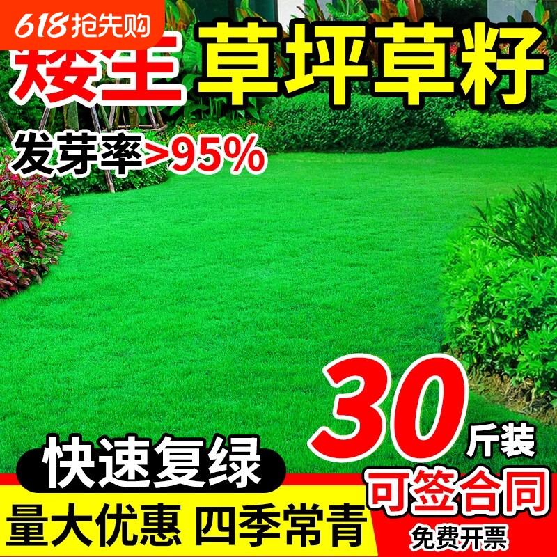 草坪草籽护坡固土四季常青狗牙根矮生草皮庭院绿化黑麦草种子混播