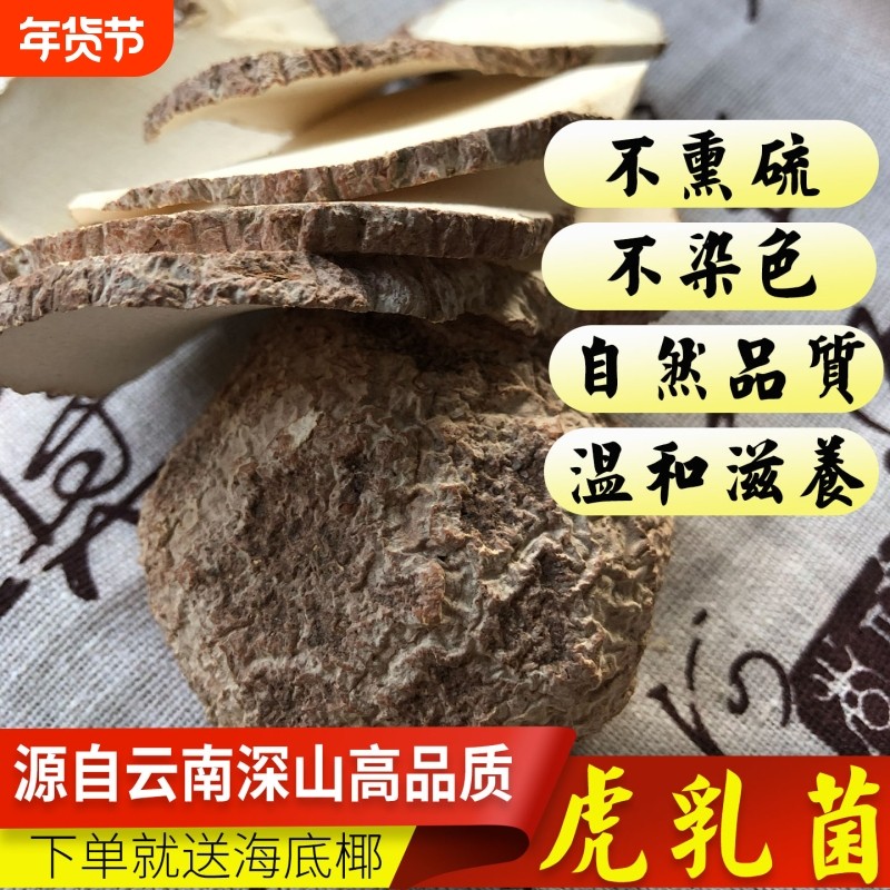 虎乳菌正品虎奶菌云南正宗虎奶菇片灵芝野外生长新货干货煲汤泡水