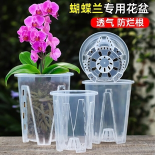 水苔蝴蝶蘭專用花盆青山透明控根盆加厚大號透氣蘭花塑料家用高透