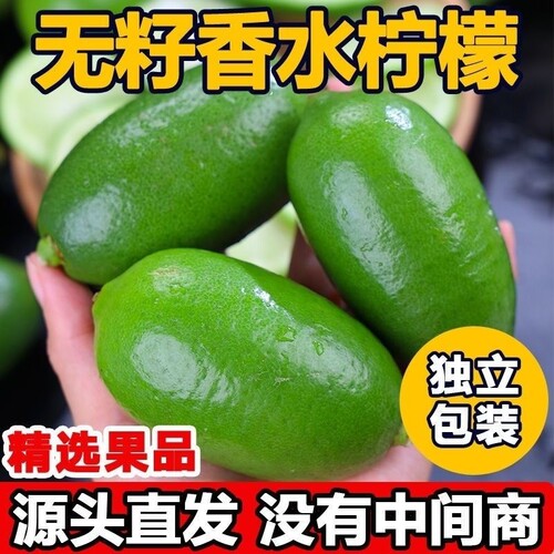 【现摘】海南香水柠檬无籽青柠檬