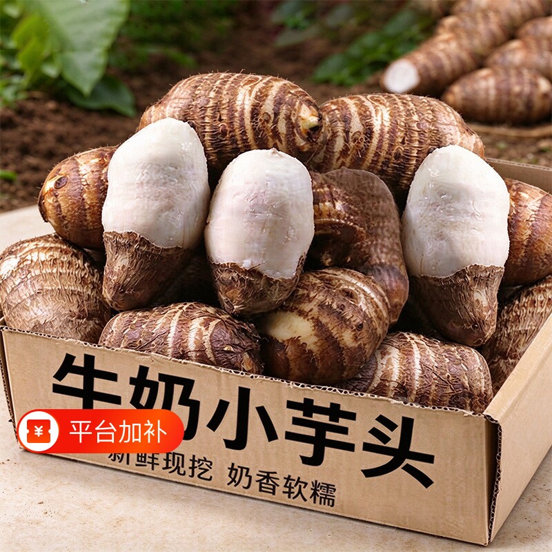 正宗牛奶小芋头新鲜现挖粉糯红毛芋头芋艿香芋应季蔬菜农家自种