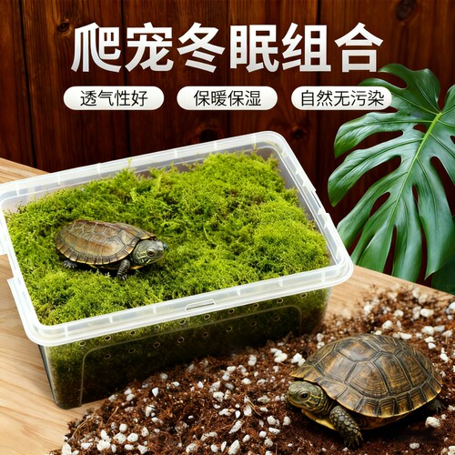 乌龟冬眠盒用品饲养箱椰砖椰土干苔藓垫材爬宠专用饲养盒龟缸客厅