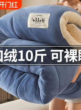 冬被芯牛奶绒加厚保暖冬季珊瑚绒被褥被子单人宿舍羊羔绒棉被10斤