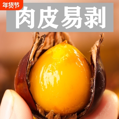 闽北2025新鲜正宗建瓯松溪政和锥栗油栗子农家现摘锥形栗子小毛栗