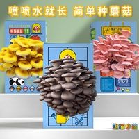 噴水就長(zhǎng)蘑菇菌包禮盒可食用平菇