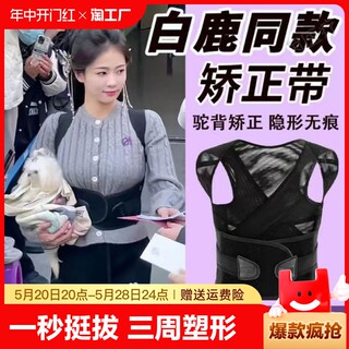 白鹿同款贝贝佳成人矫正带儿童驼背矫正器男女士体态矫正美背神器