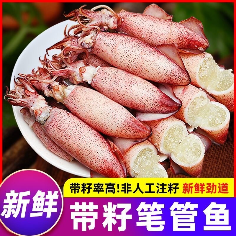 海兔子满籽笔管鱼新鲜带籽纯籽籽乌子乌小鱿鱼乌贼生鲜海鲜冷冻货