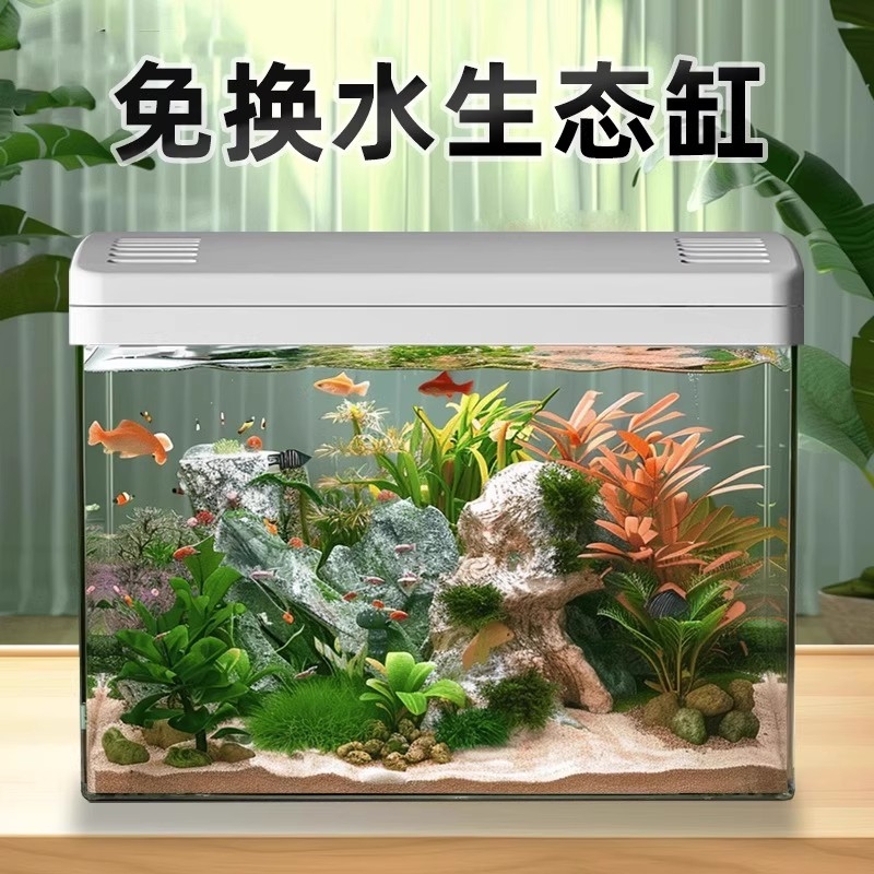 鱼缸客厅家用2025新款过滤制氧一体专业造景金鱼斗鱼小型生态缸
