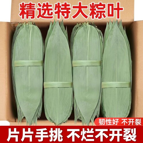 干粽叶特大号粽子叶新鲜麻竹叶商家用箬叶包粽子材料送棕绳