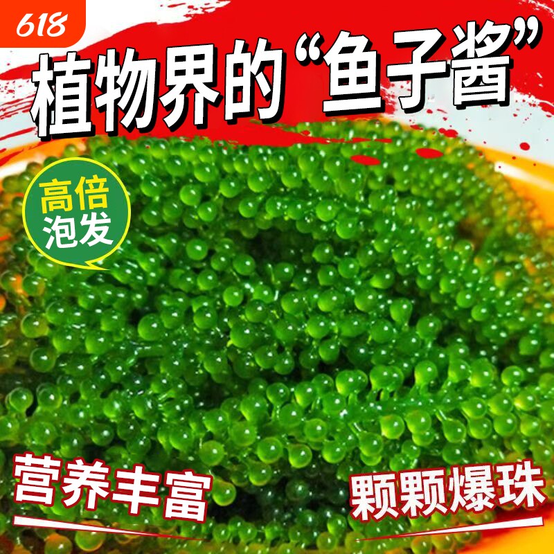 海葡萄即食盐渍海带蔬菜鱼子酱海藻凉拌菜寿司涮火锅食材健康好吃