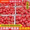 普罗旺斯4.5斤净重大西红柿
