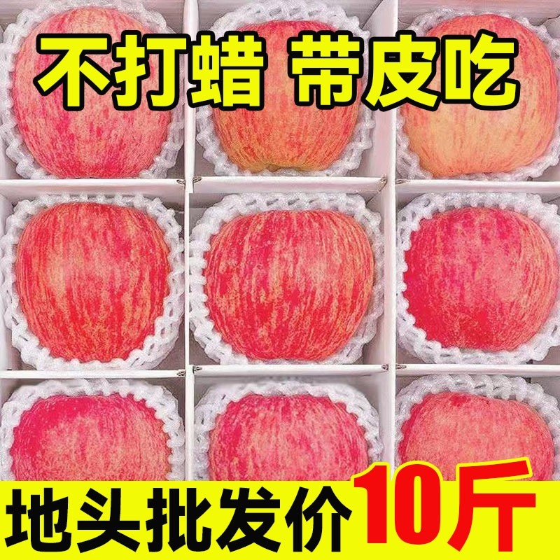 陕西红富士苹果水果新鲜脆甜冰糖心丑苹果整箱当季10包邮斤大果,水产肉类/新鲜蔬果/熟食,苹果,淘宝优惠券,粉丝福利购,淘宝优惠卷