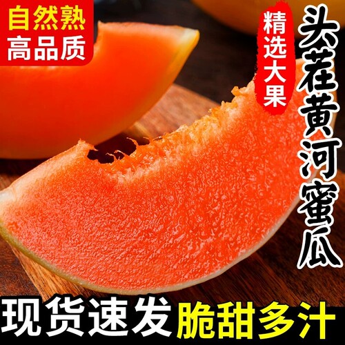 哈密瓜正宗头茬黄河蜜瓜甜新鲜水果应当季整箱陕西沙漠黄金脆香瓜