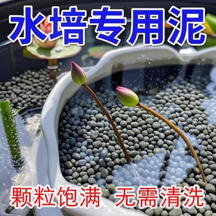 碗莲水草泥高肥力不不浑水铜钱草睡莲水培植物营养泥水养陶粒水质