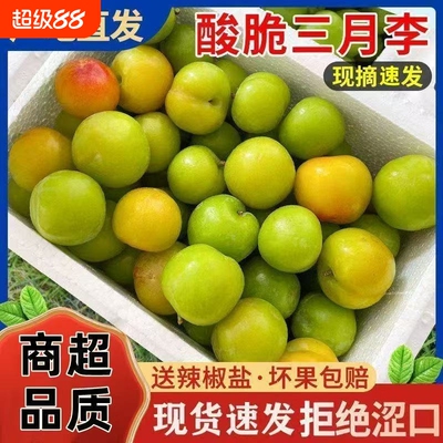 青李子酸爽脆好吃云南