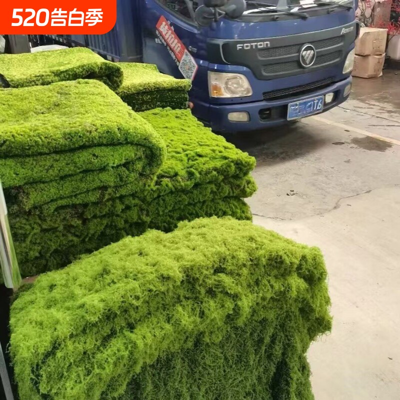 仿真草坪草皮diy微景观假苔藓假青苔绿植造景花盆铺面假草羊绒藓
